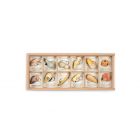 Grapat Houten Speelgoed Wild bewaardoos met 12 creaties