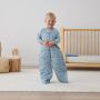 Ergopouch Organic Cotton Sleepsuit Bag  Dragonflies 3.5 TOG 