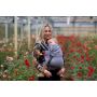 Pure Baby Love Draagzak Click & Go  Navy
