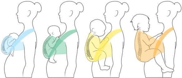 ergonomische draaghouding